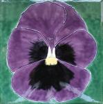 Pansy image.