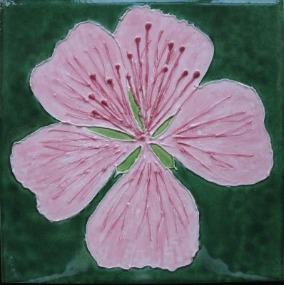 Geranium image